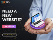 Website Designing Company in Meerut Meerut