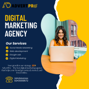 Digital marketing agency in Indore from Indore