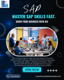 SAP Online Training India with 100% Placement & Job Guarantee Noida