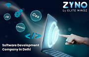Top Software Development Company in Delhi | Zyno by Elitemindz New Delhi