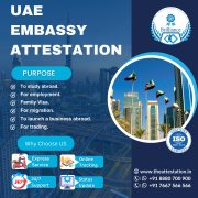 Trusted UAE Attestation Agents in Chennai for Fast & Reliable Services Bengaluru