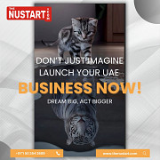 UAE BUSINESS SETUP - MADE EASY Dubai