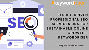 Result-Driven Professional SEO Services USA for Sustainable Online Growth - Keywordriser Denver
