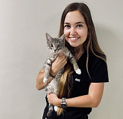 Boulevard Animal Hospital from Stuart