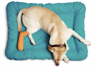 Boulevard Animal Hospital from Stuart