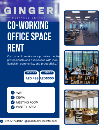 Co Working Space Available For rent Dubai - photo 1