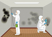 Professional Mold Remediation Services in Manhattan Manhattan