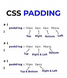 Rao@Digital | Digital Marketing Services & Online Promotion Expert from Hyderabad