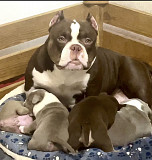 Very compact Micro American Bylly pocket from Antalya