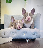 Very compact Micro American Bylly pocket from Antalya