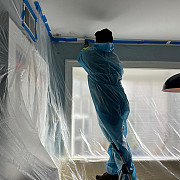 Mold Remediation Manhattan Expert Mold Removal Manhattan Services Manhattan