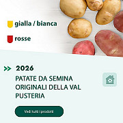 Agritura – Patate da Seme Certificate e Calce per un Orto Produttivo e Sano Bolzano