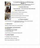 *Scottish Fold Cat Mating Service – Premium Quality Studs Available* Riyadh