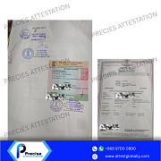 Attestation Services in Oman Muscat