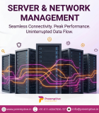 SERVICES & NETWORK MANAGEMENT IN DELHI Delhi