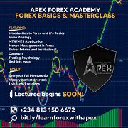 Apex Forex Bootcamp from Lagos