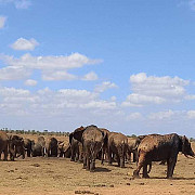 KT & safaris Mombasa