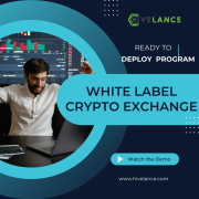 Hivelance Cryptocurrency Exchange script Madurai