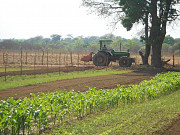 WELL DEVELOPED 103 HECTARES FARM IN LUSAKA ZAMBIA Harare