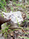COPPER AND AMETHYST MINE FIELD FOR SALE IN ZIMBA DISTRICT, ZAMBIA Harare