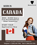 Job Vacancy 500$ - 1000$ monthly in Canada from Concord