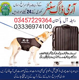 Army dog center 03455644331 Rawalpindi