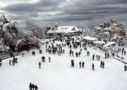Best offers on Holiday Shimla Tour Packages!! from Ahmedabad