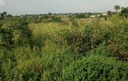 40 plots of land for sale in Ilameja Ibeju Lekki Lagos Lagos