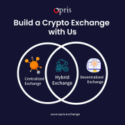Cryptocurrency Exchange Software Development | Opris Exchange New York City