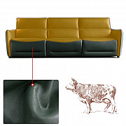 Italian Leather Sofa Living Room Combination Sofa Space Capsule Electric Function Ottawa
