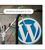 Make Your WORDPRESS WEBSITE A Reality Lahore