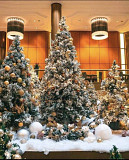 Christmas tree Texas City