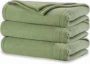 Sunbeam Royal Ultra Ivy Heated Blanket - Full Providence