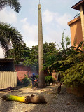 Foly hulticultural and tree maintenance services Ikeja