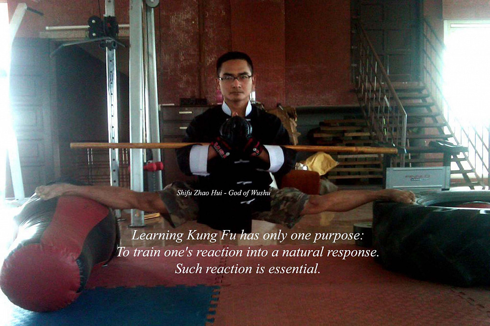 Learn Martial Arts, Self Defense, Wushu, Kung Fu, MMA, Krav Maga, Jeet