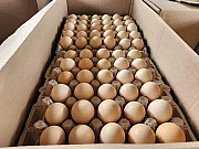 GET YOUR POULTRY BIRDS AND EGG AT DELE FRESH POULTRY FARM . DELEFRESH FARM is a Nigerian agritec from Ibadan