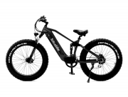 Leopard-Smoky Black Fat Tires Electric Mountain Bike from New York City