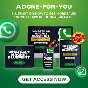 Struggling to make more sales on Whatsapp? from Lagos