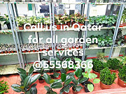 Garden Services in Qatar from Al Wakrah