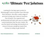 Affordable Bedbug Exterminator Vaughan Service by Ultimate Pest Solutions Toronto