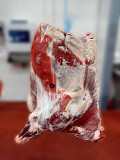 Do you need fresh and high-quality Beef Lamb chicken duck offal sea products Fish wholesale from Ar Rayyan