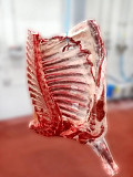 Do you need fresh and high-quality Beef Lamb chicken duck offal sea products Fish wholesale from Ar Rayyan