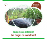 Biogas installation from Kericho