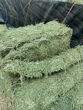 Hay for sale Toronto