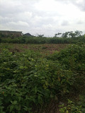 BUILD AND MOVE IN LAND IN ENEKA Port Harcourt