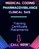 Clinical SAS Training with placements in bangalore Vijayawada